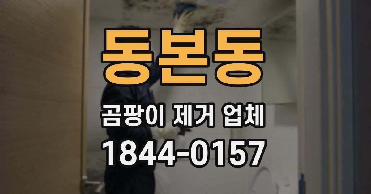 동본동 곰팡이 제거 업체