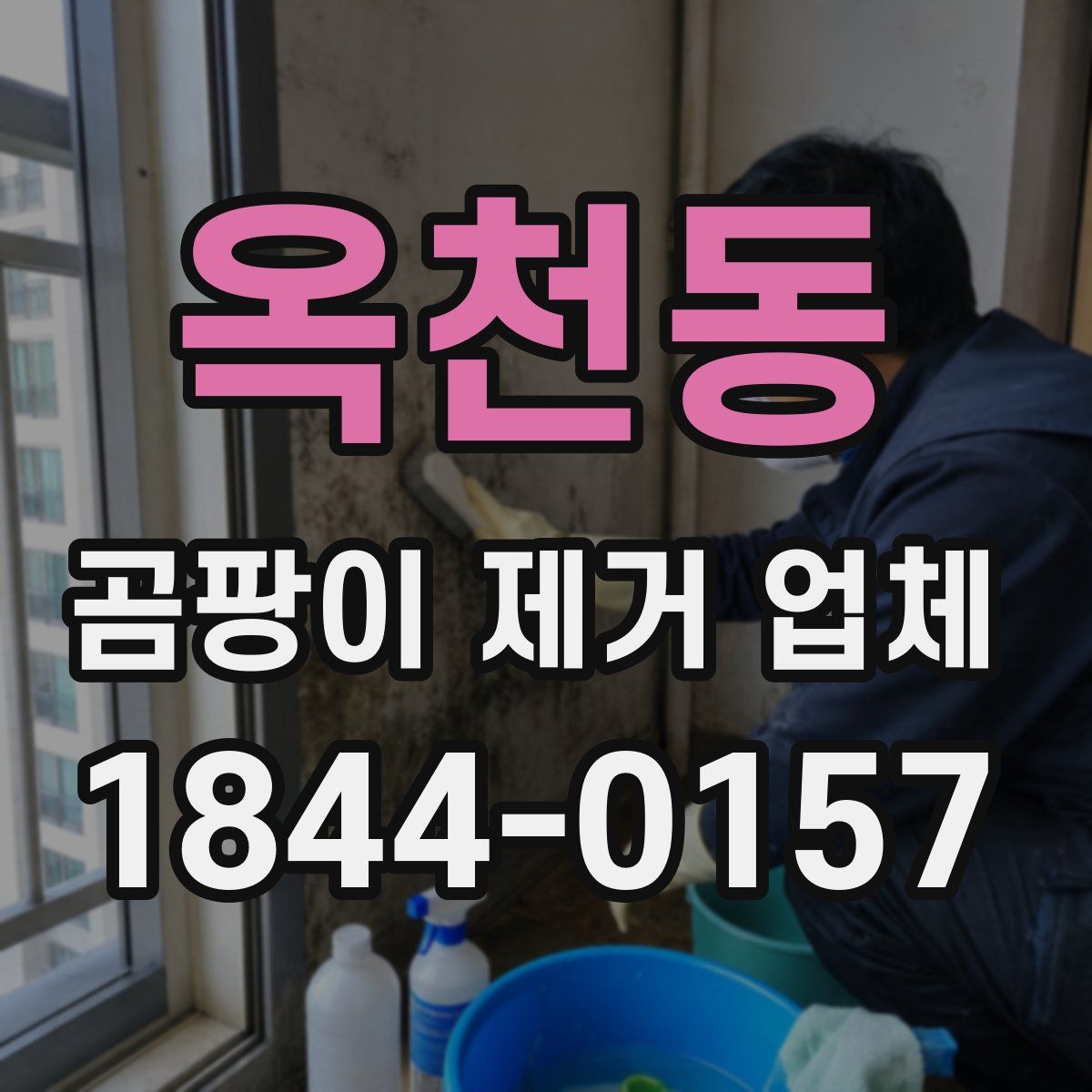 옥천동 곰팡이 제거 업체