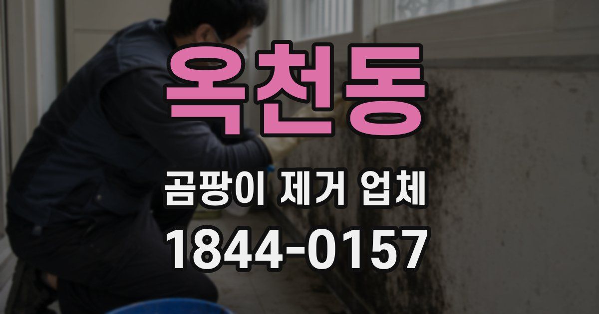 옥천동 곰팡이 제거 업체