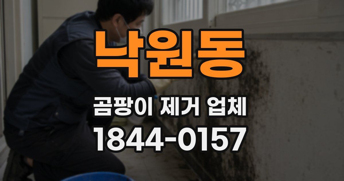 낙원동 곰팡이 제거 업체