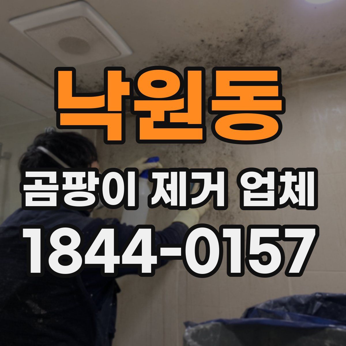낙원동 곰팡이 제거 업체