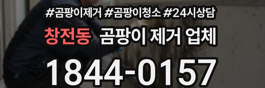 창전동 곰팡이 제거 업체