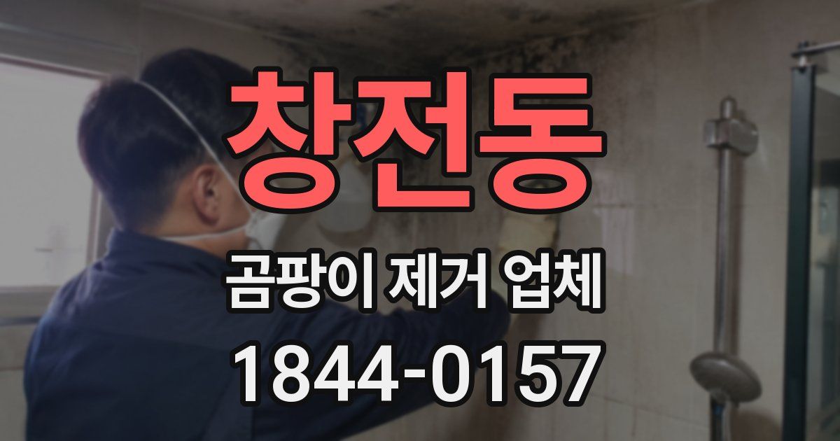 창전동 곰팡이 제거 업체