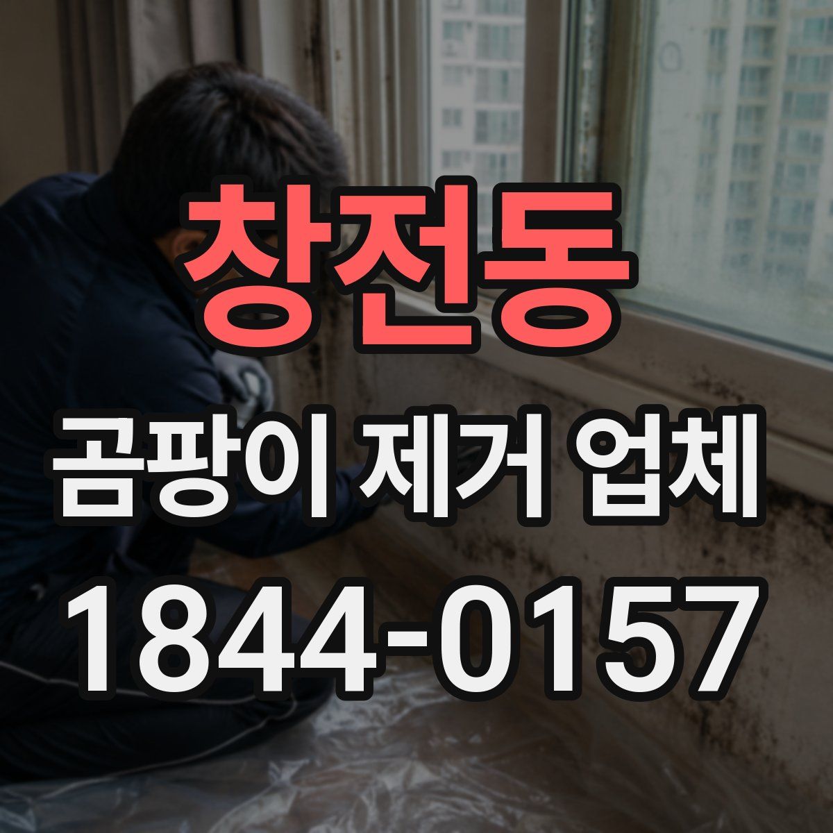 창전동 곰팡이 제거 업체