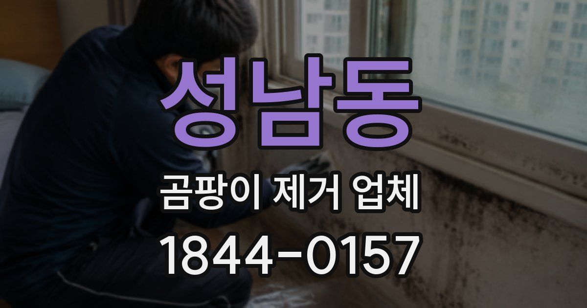 성남동 곰팡이 제거 업체