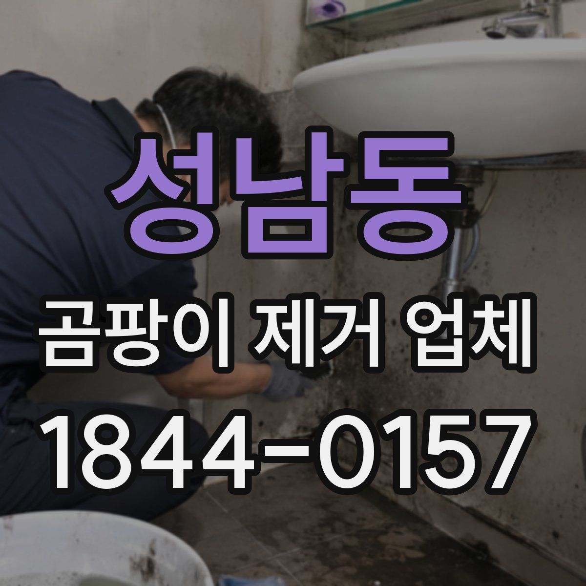 성남동 곰팡이 제거 업체