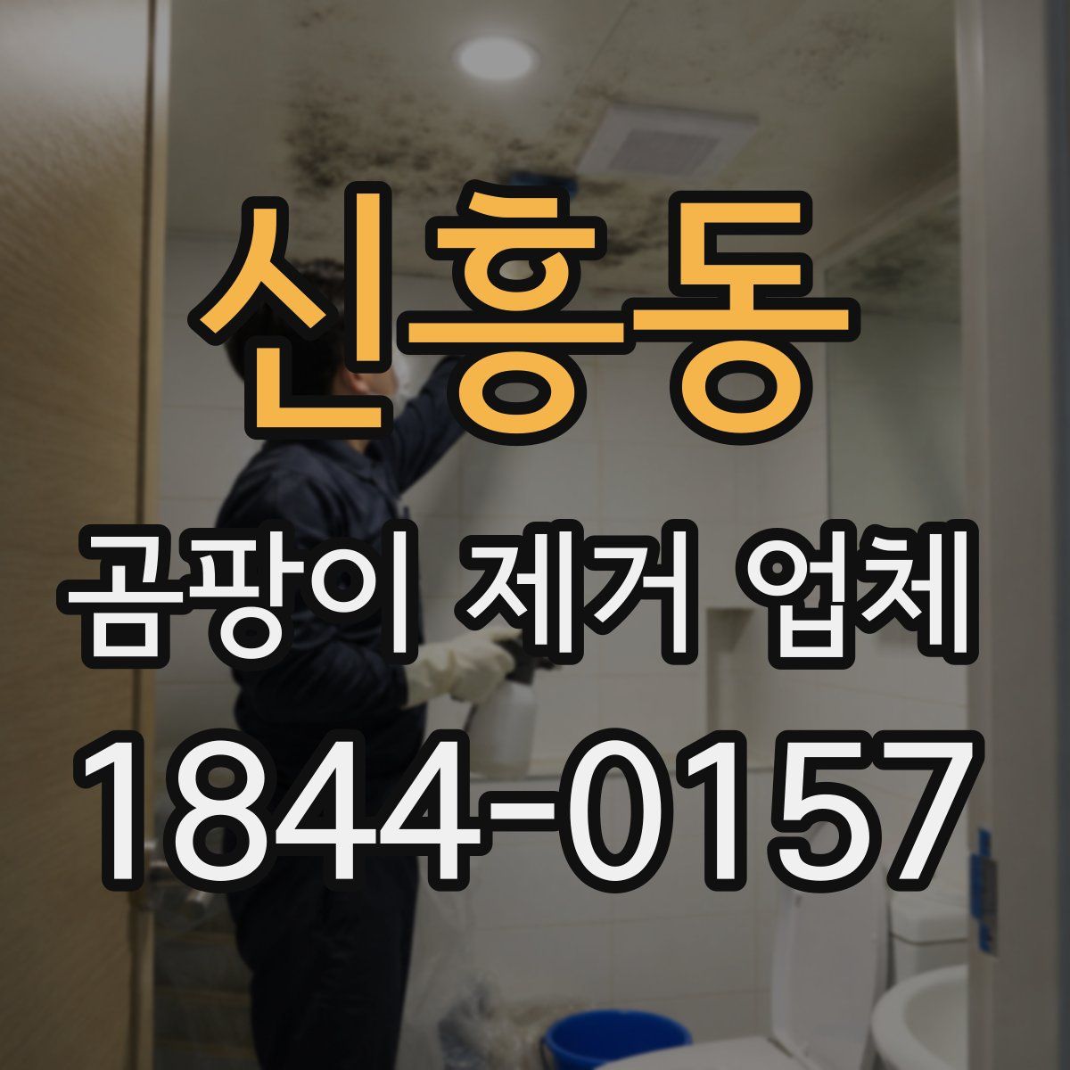 신흥동 곰팡이 제거 업체