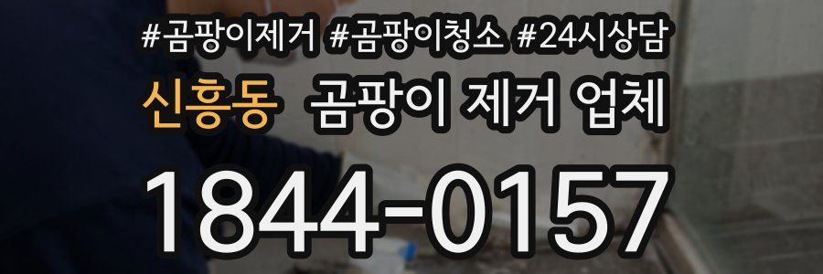 신흥동 곰팡이 제거 업체