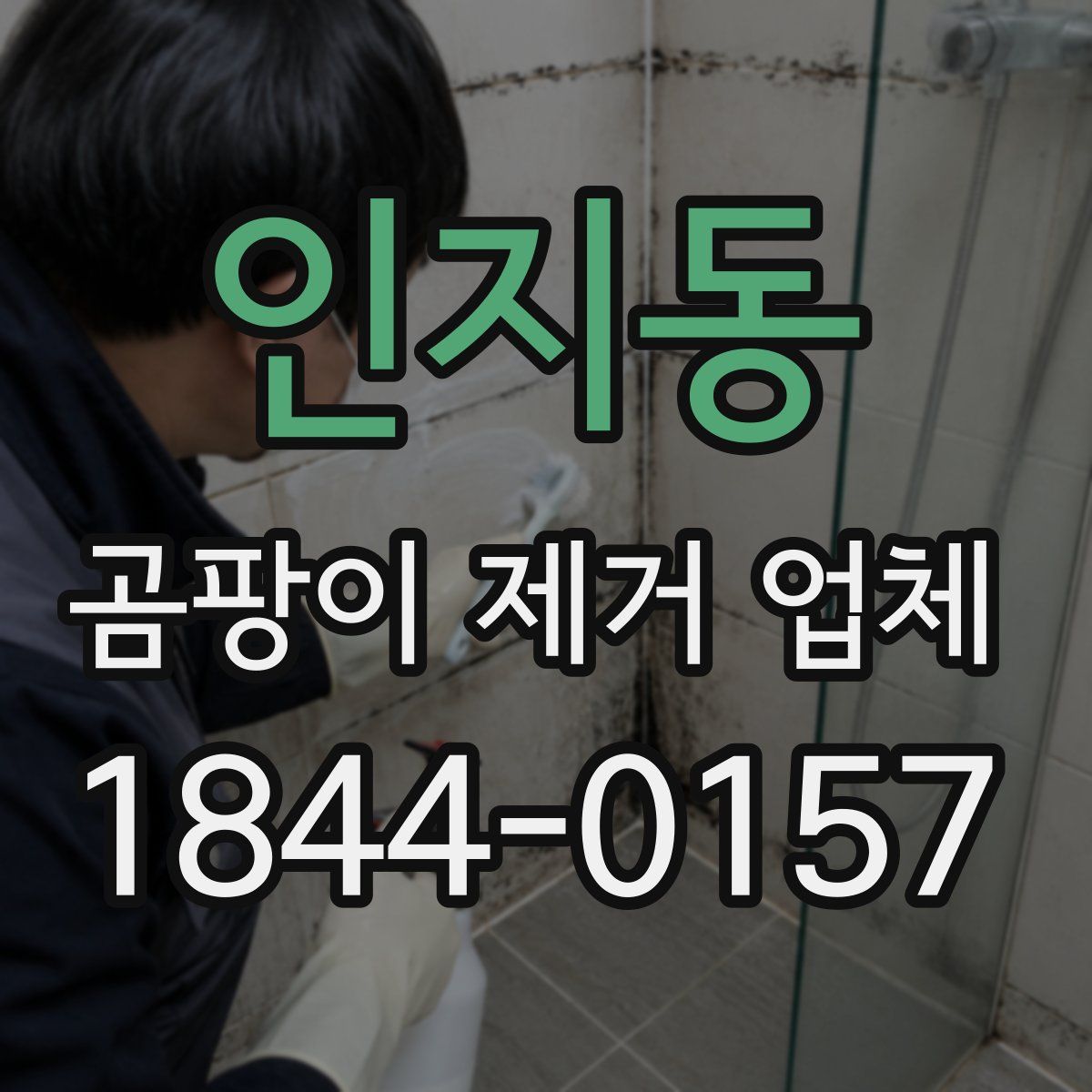 인지동 곰팡이 제거 업체
