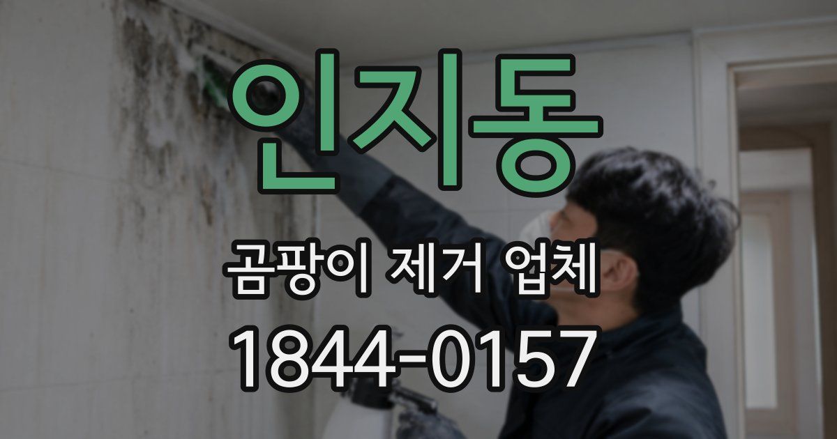 인지동 곰팡이 제거 업체
