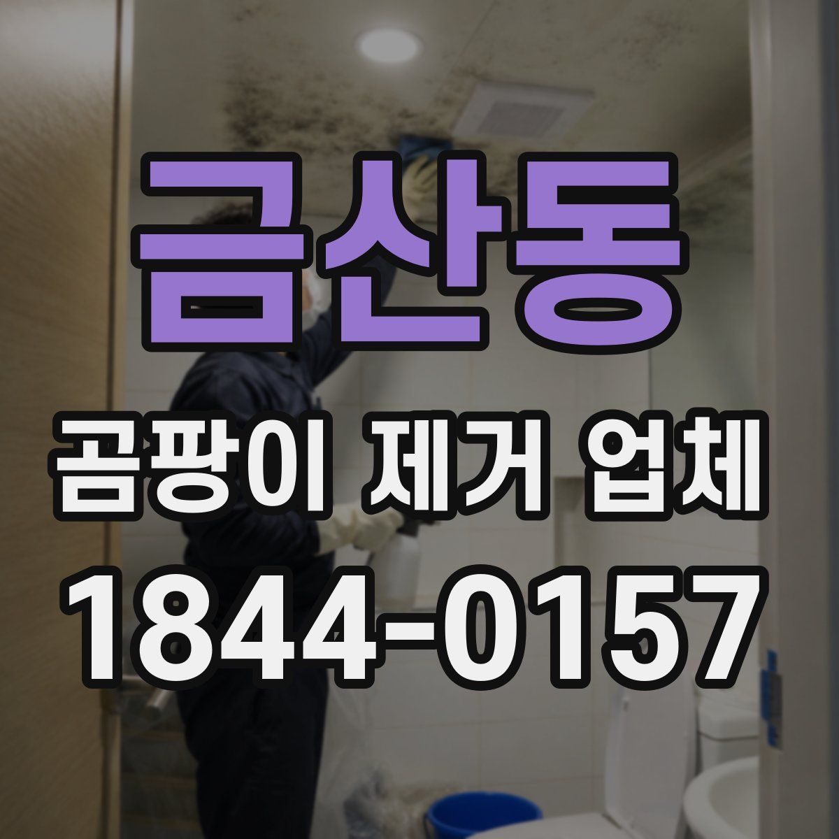 금산동 곰팡이 제거 업체