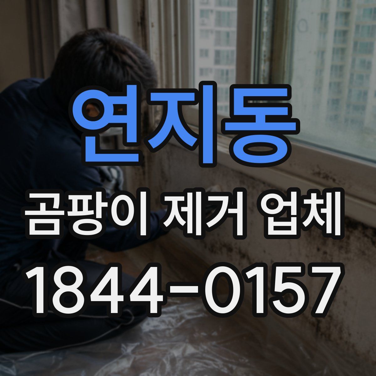연지동 곰팡이 제거 업체