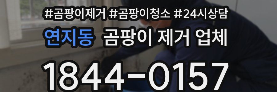 연지동 곰팡이 제거 업체