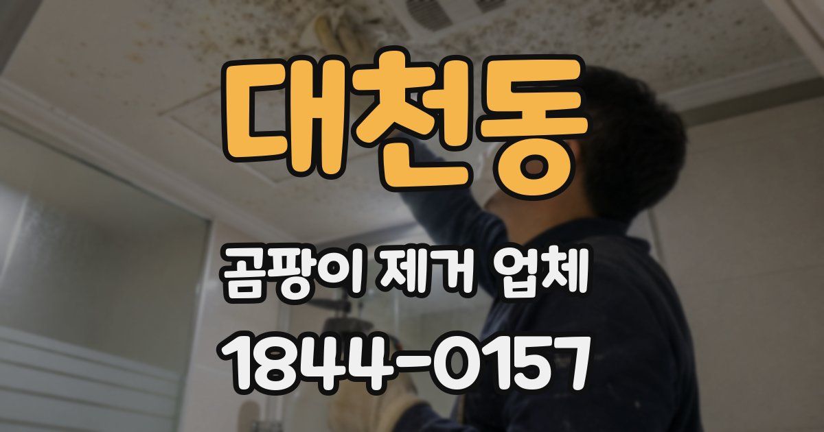 대천동 곰팡이 제거 업체