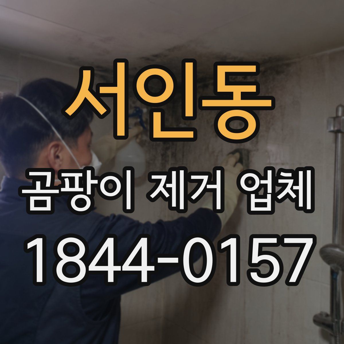 서인동 곰팡이 제거 업체