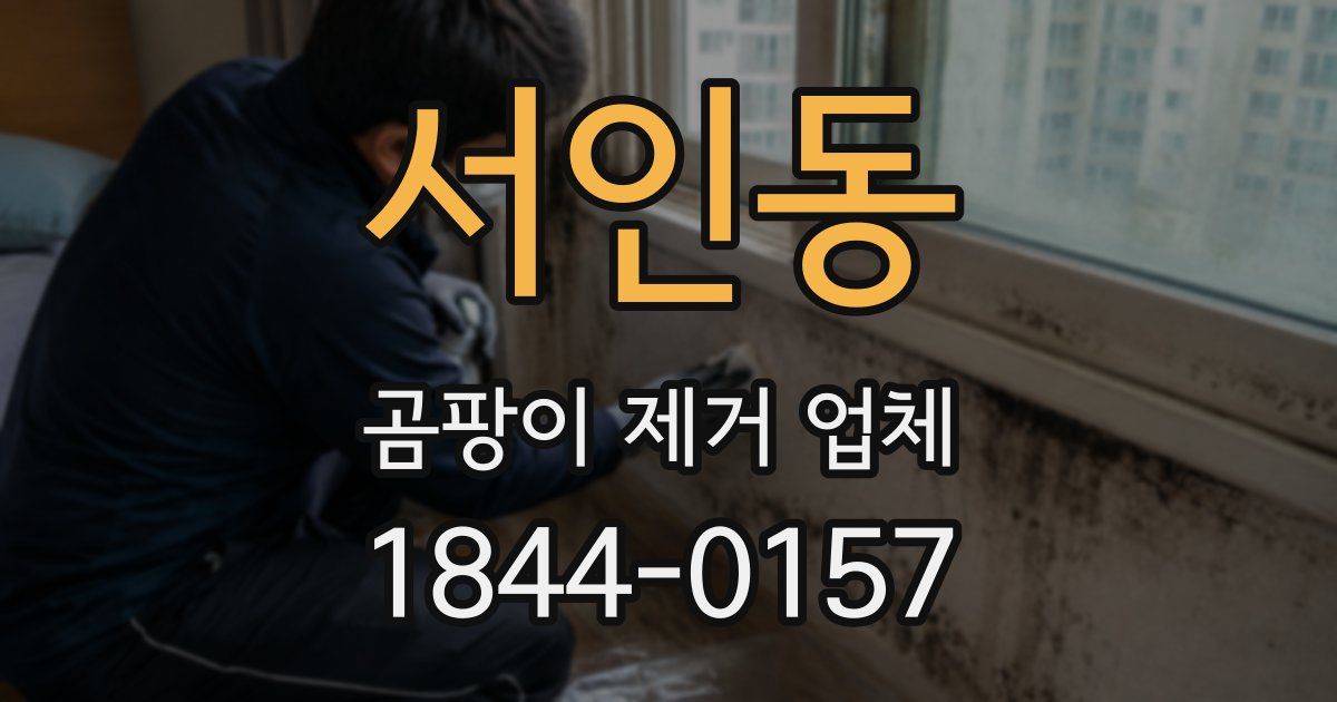 서인동 곰팡이 제거 업체