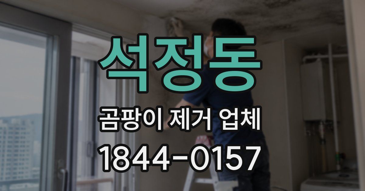 석정동 곰팡이 제거 업체