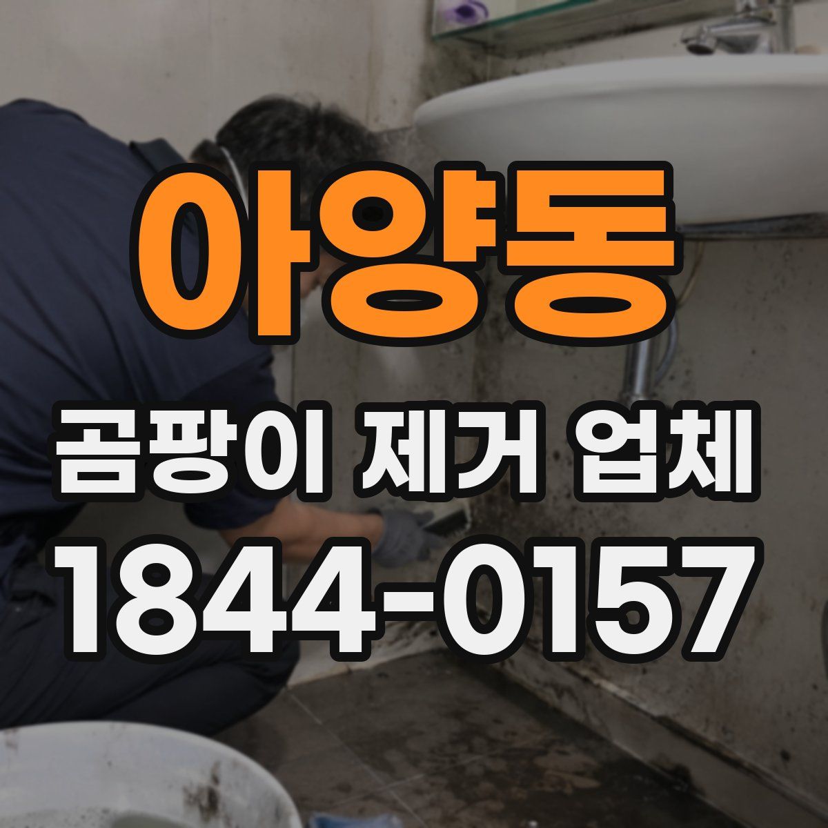 아양동 곰팡이 제거 업체