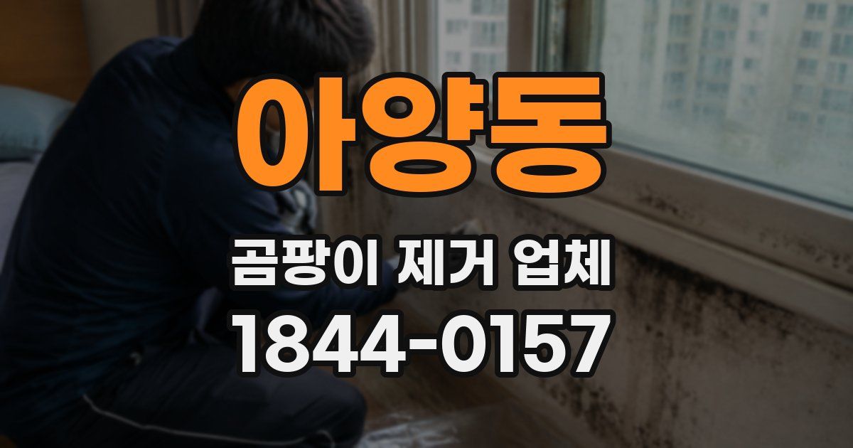 아양동 곰팡이 제거 업체