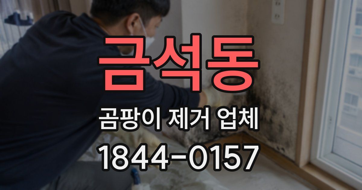 금석동 곰팡이 제거 업체