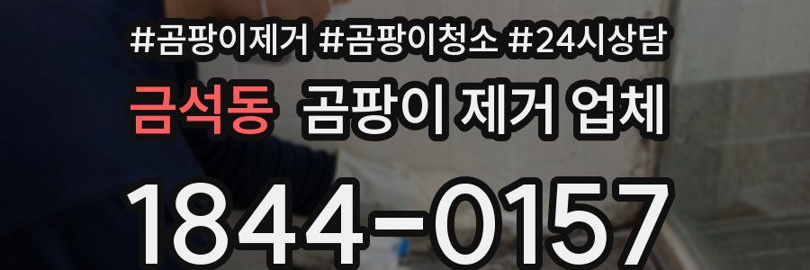 금석동 곰팡이 제거 업체