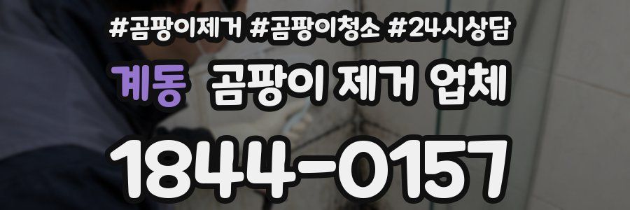 계동 곰팡이 제거 업체