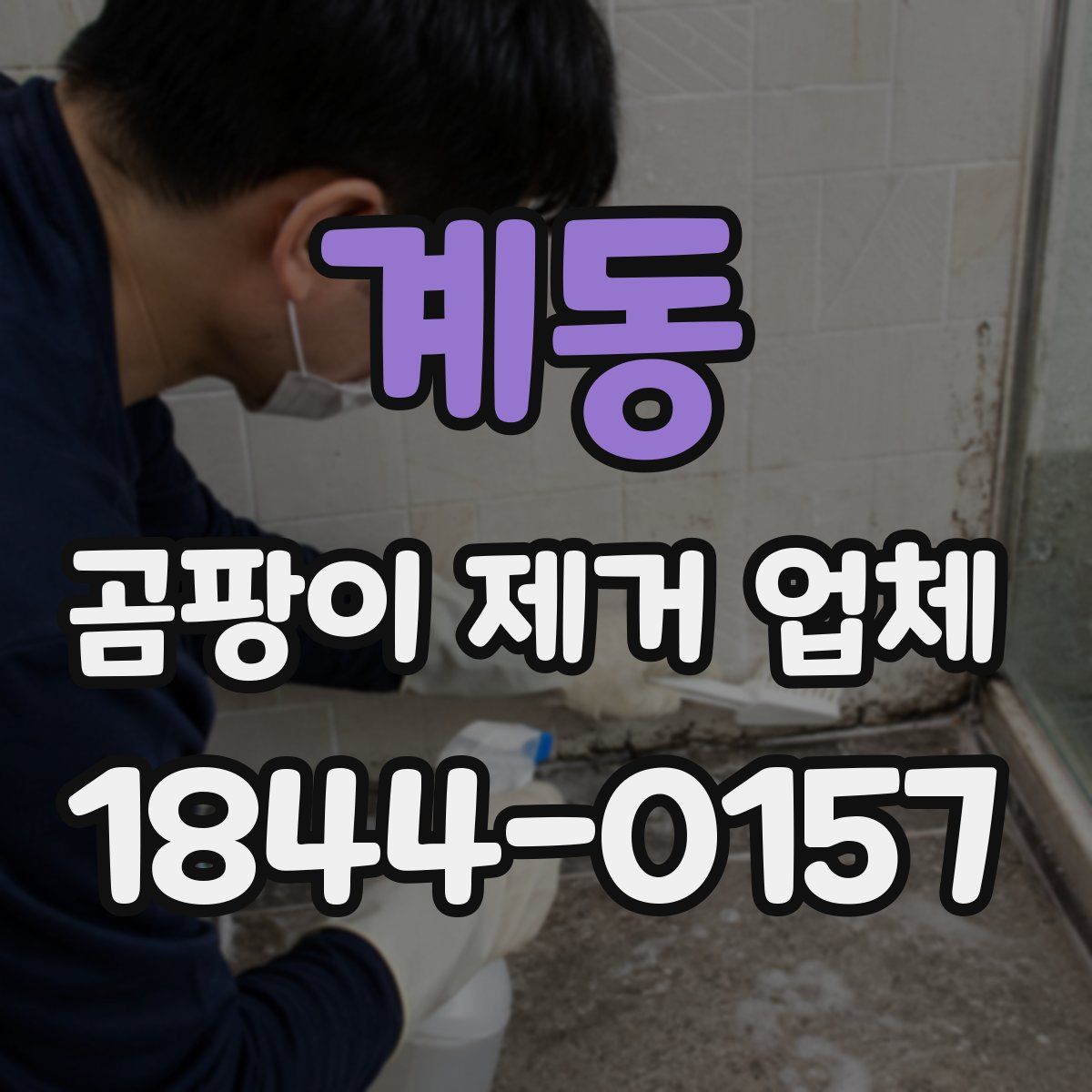 계동 곰팡이 제거 업체