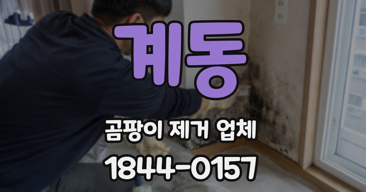 계동 곰팡이 제거 업체