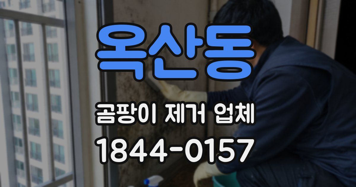 옥산동 곰팡이 제거 업체