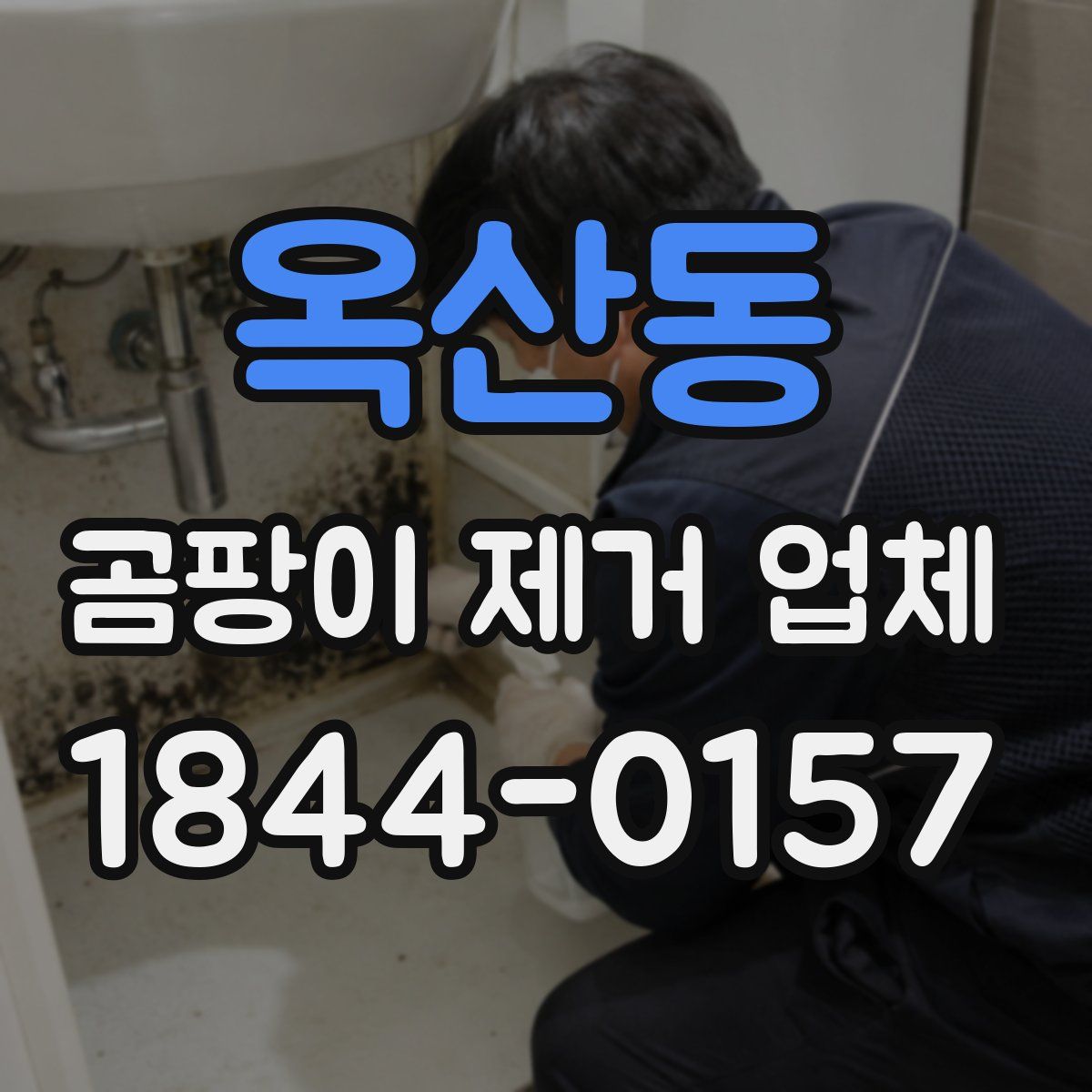 옥산동 곰팡이 제거 업체