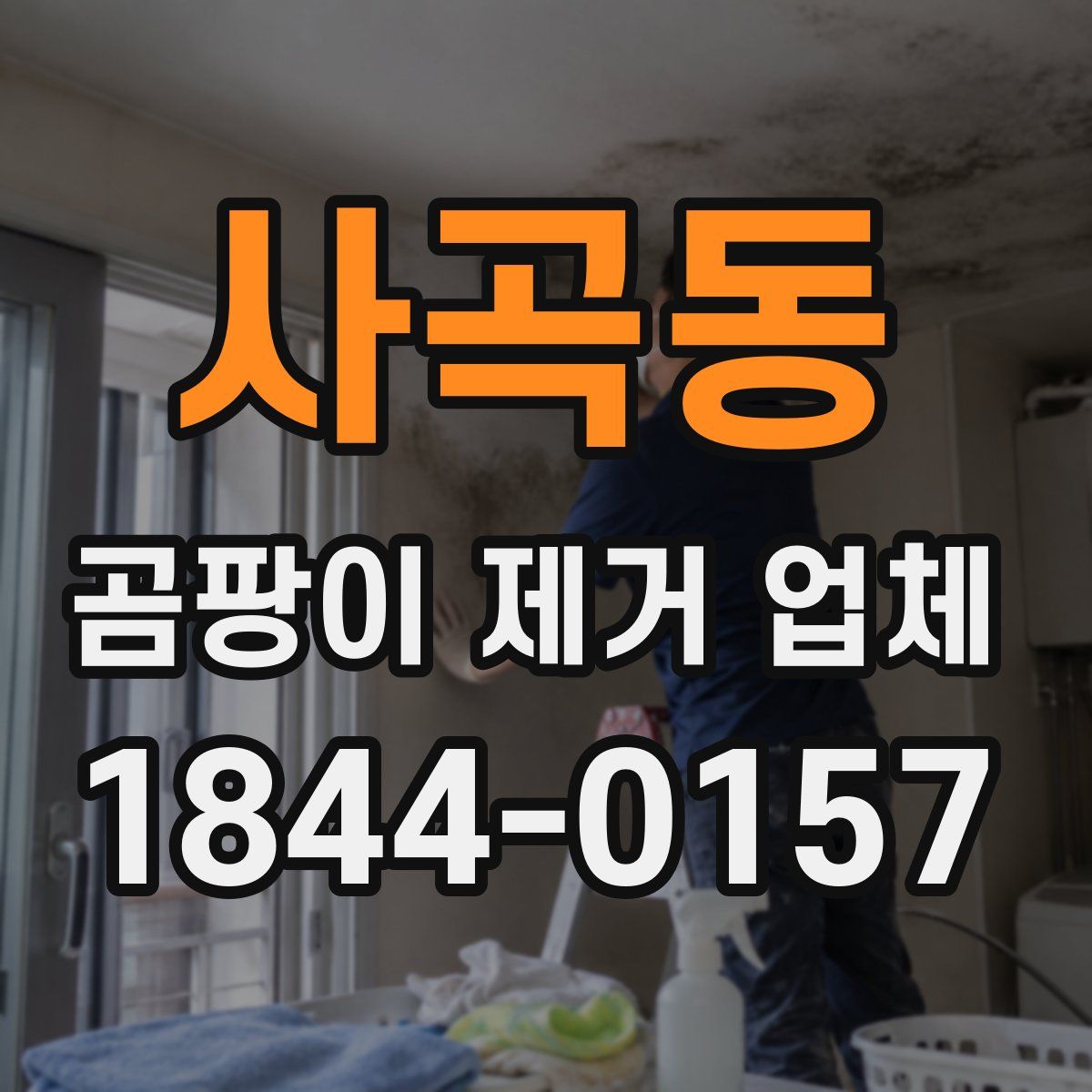 사곡동 곰팡이 제거 업체