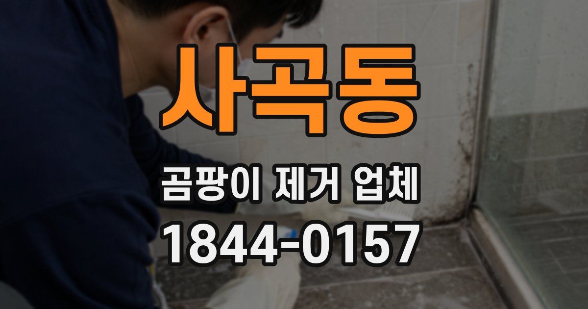 사곡동 곰팡이 제거 업체