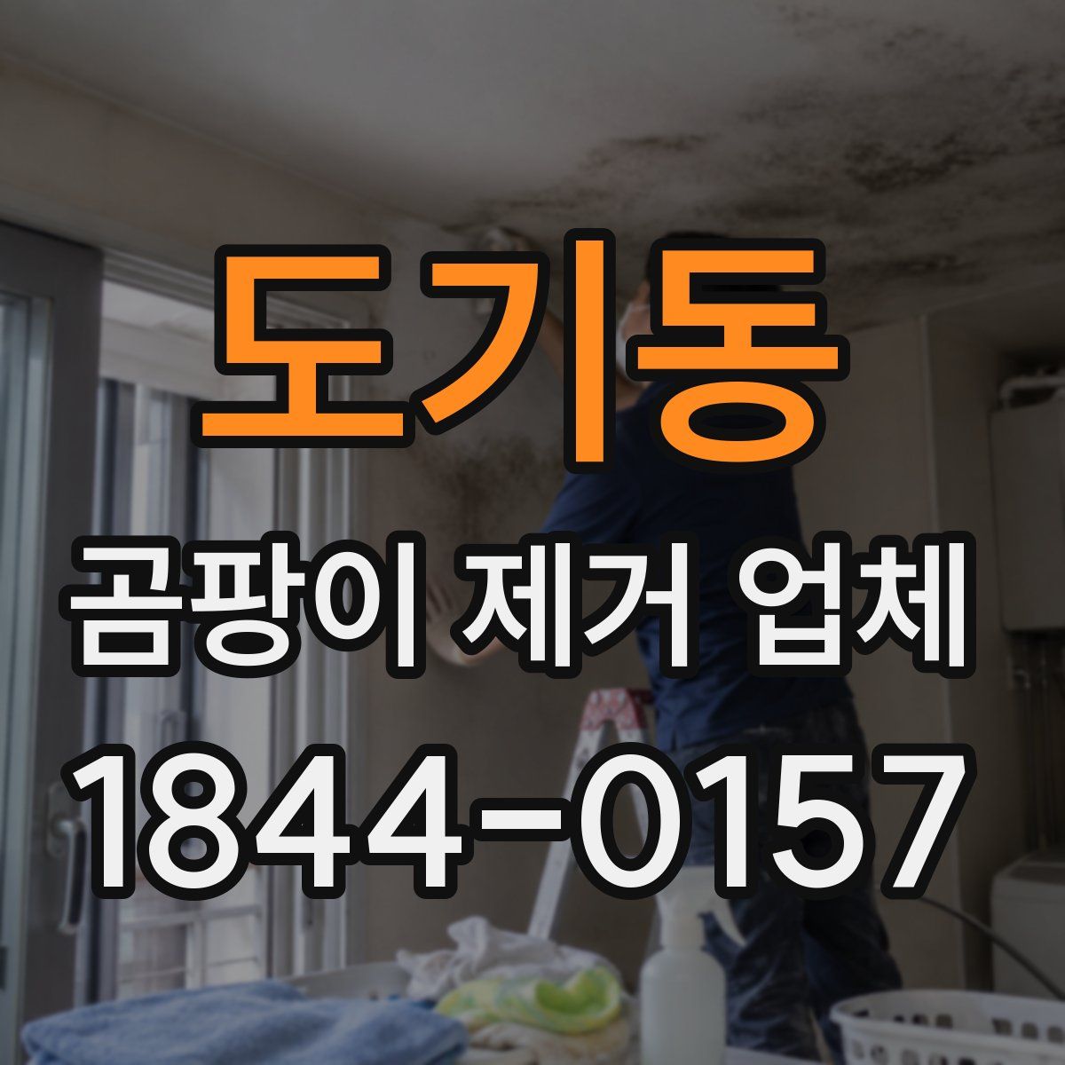 도기동 곰팡이 제거 업체