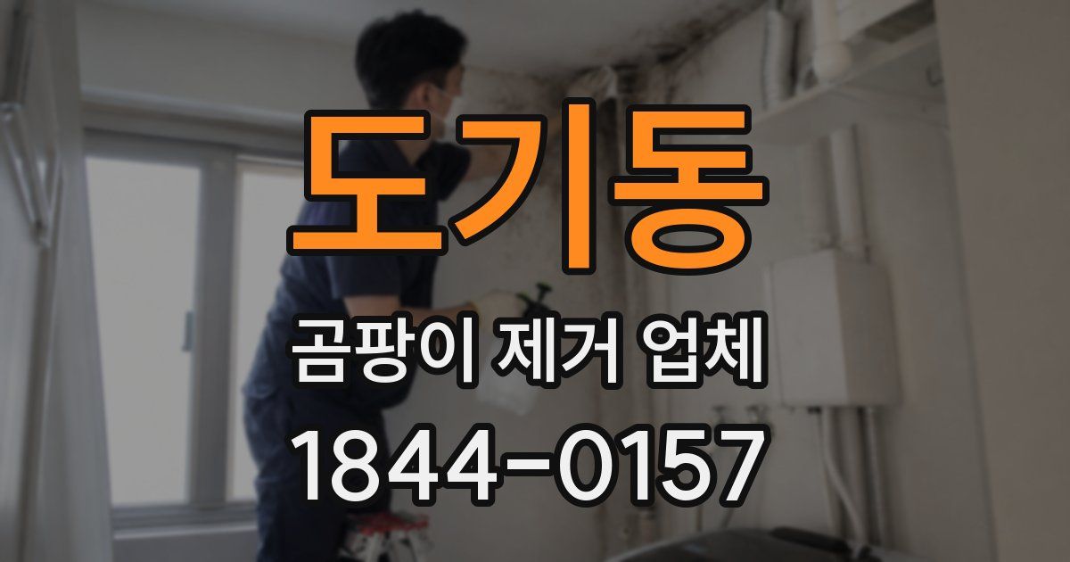 도기동 곰팡이 제거 업체