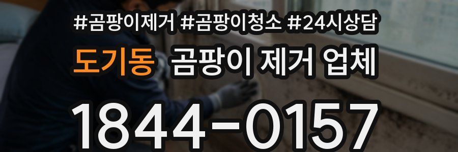 도기동 곰팡이 제거 업체