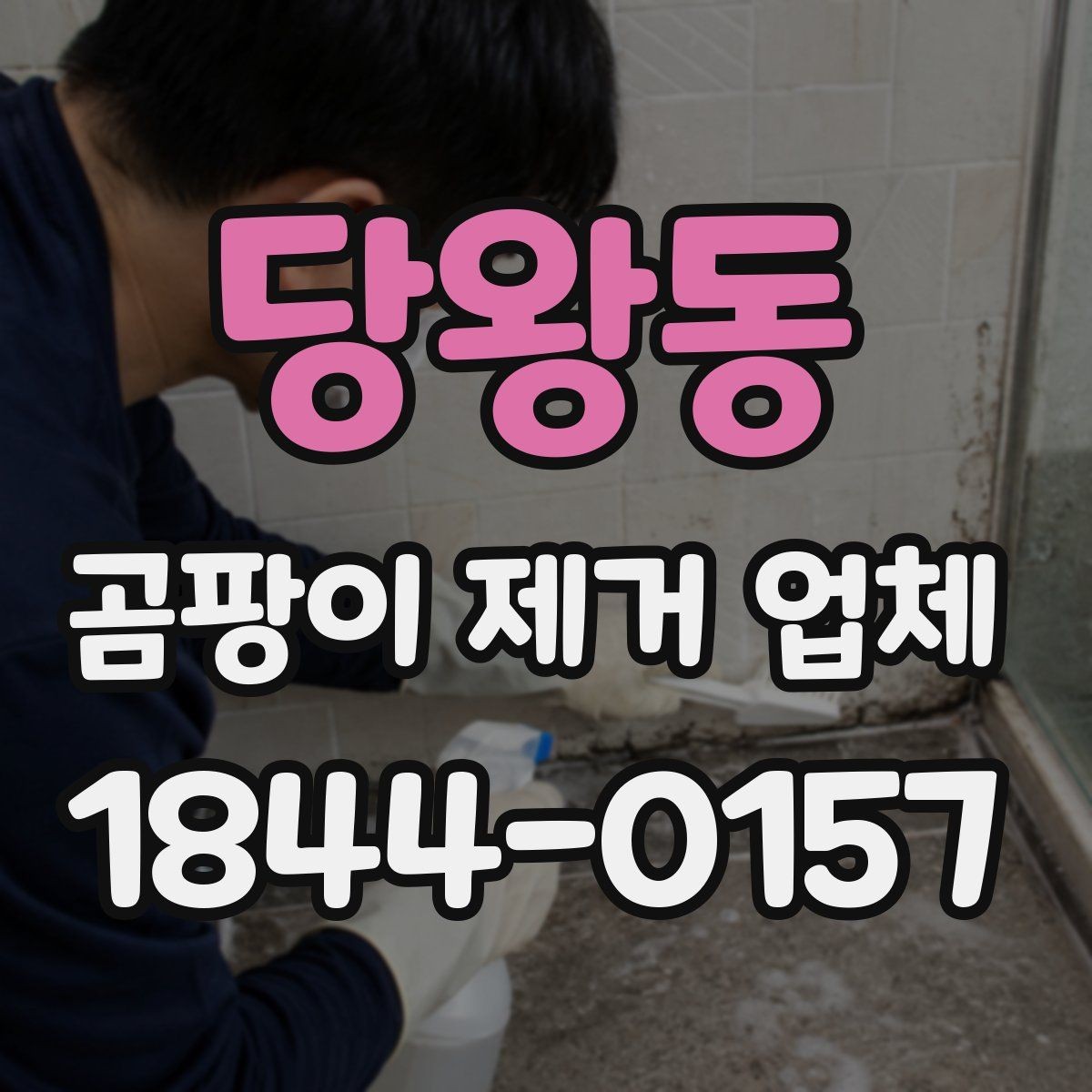 당왕동 곰팡이 제거 업체 세입자와 집주인이 함께 확인할 점검 항목