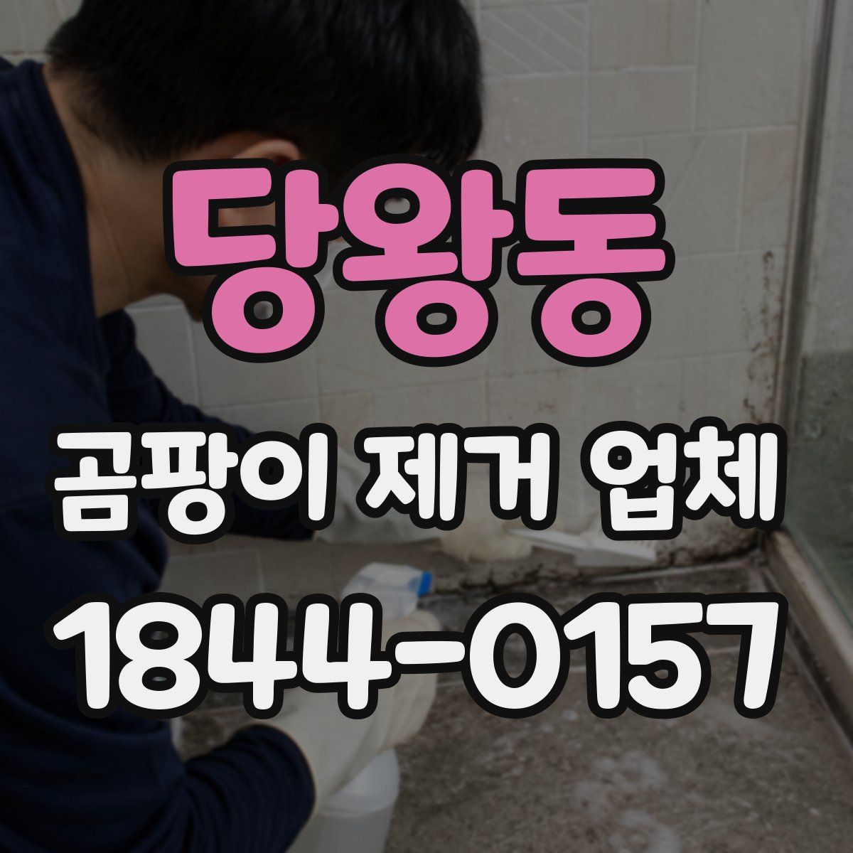 당왕동 곰팡이 제거 업체