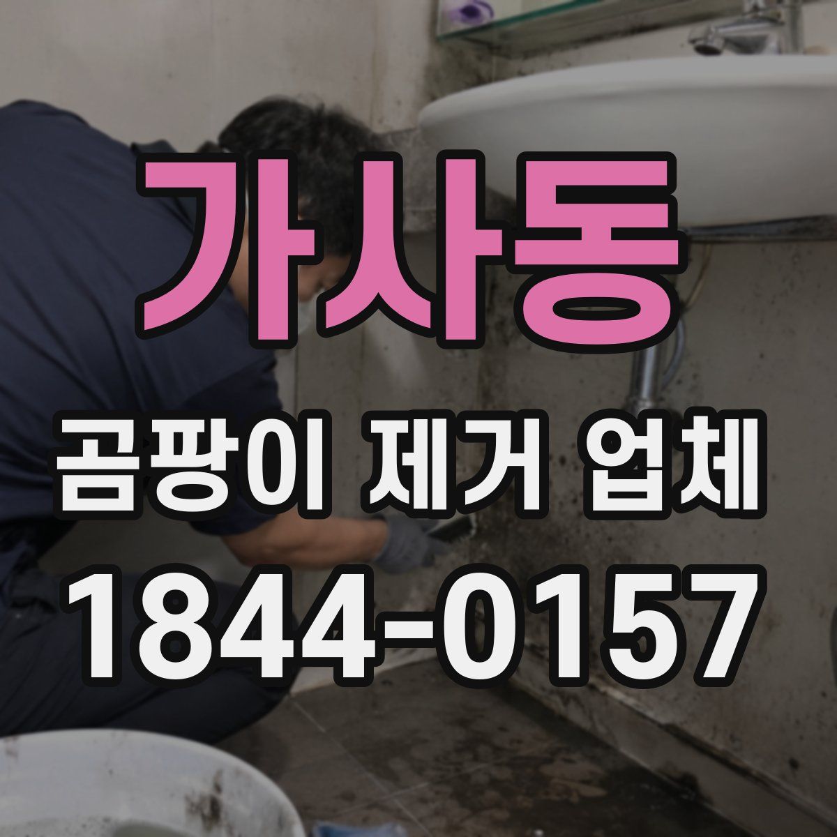 가사동 곰팡이 제거 업체