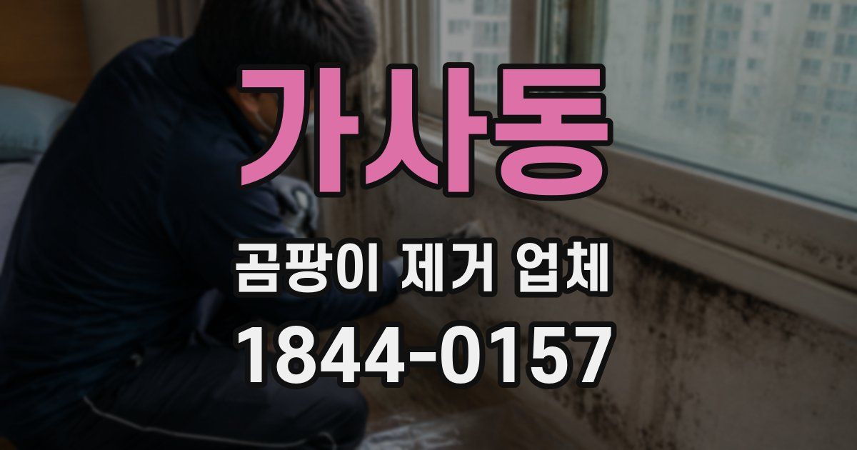 가사동 곰팡이 제거 업체