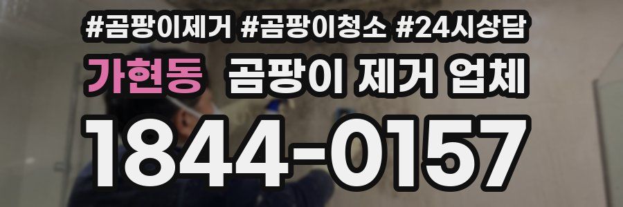 가현동 곰팡이 제거 업체
