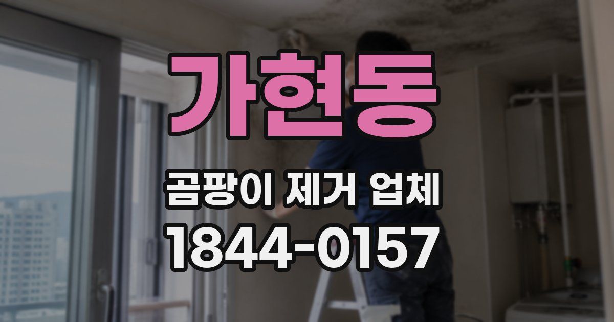 가현동 곰팡이 제거 업체
