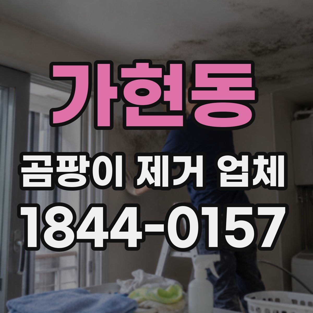 가현동 곰팡이 제거 업체
