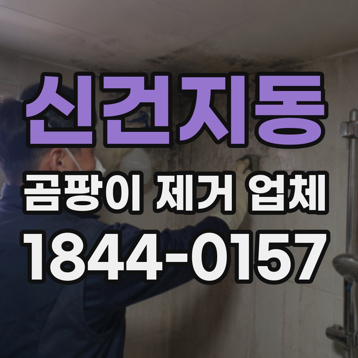 신건지동 곰팡이 제거 업체