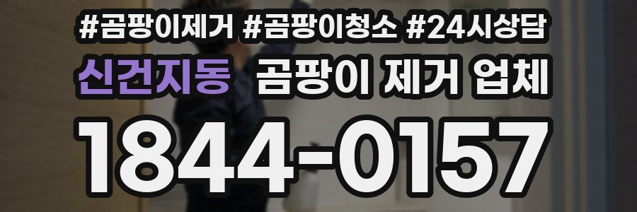 신건지동 곰팡이 제거 업체