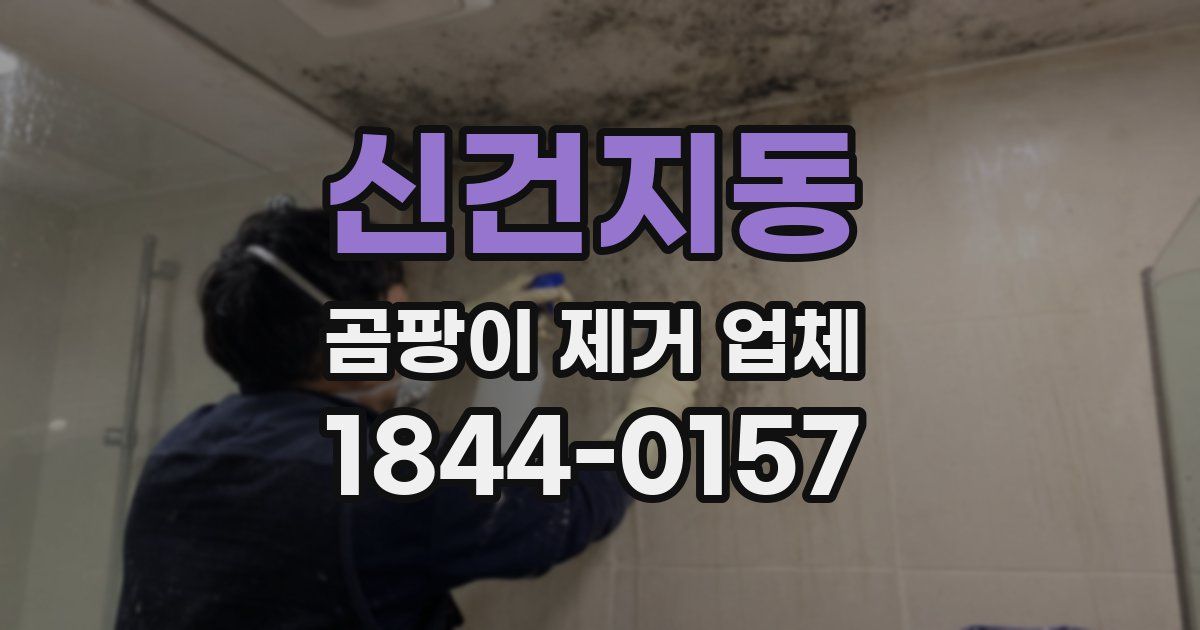 신건지동 곰팡이 제거 업체
