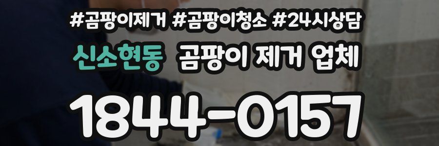 신소현동 곰팡이 제거 업체