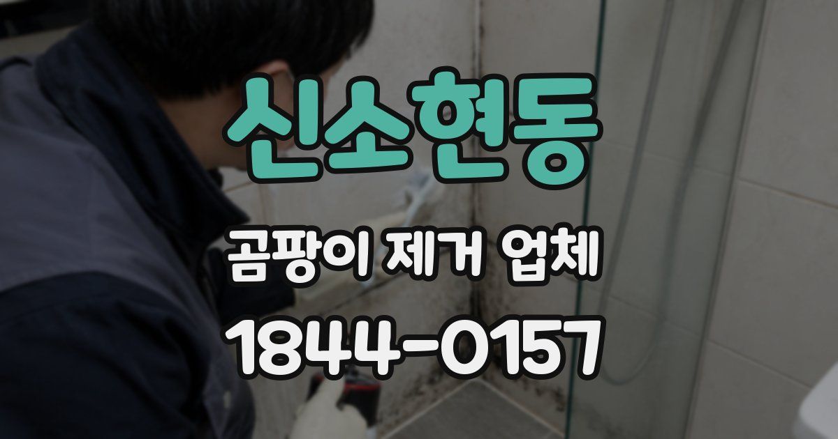 신소현동 곰팡이 제거 업체