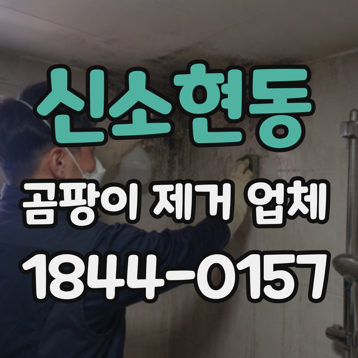 신소현동 곰팡이 제거 업체