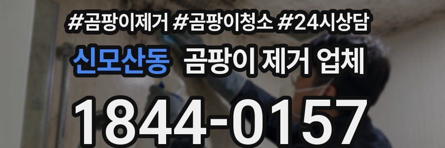 신모산동 곰팡이 제거 업체