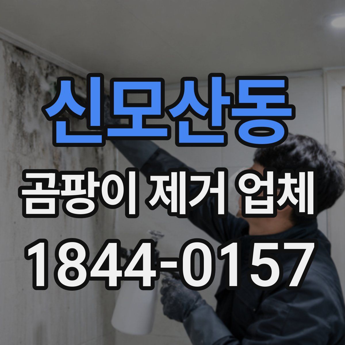 신모산동 곰팡이 제거 업체